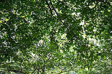 《星际卡车司机》科隆实机公开 明年正式发售